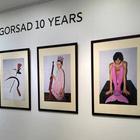 В Киеве открылась выставка к десятилетию арт-группы Gorsad Kyiv
