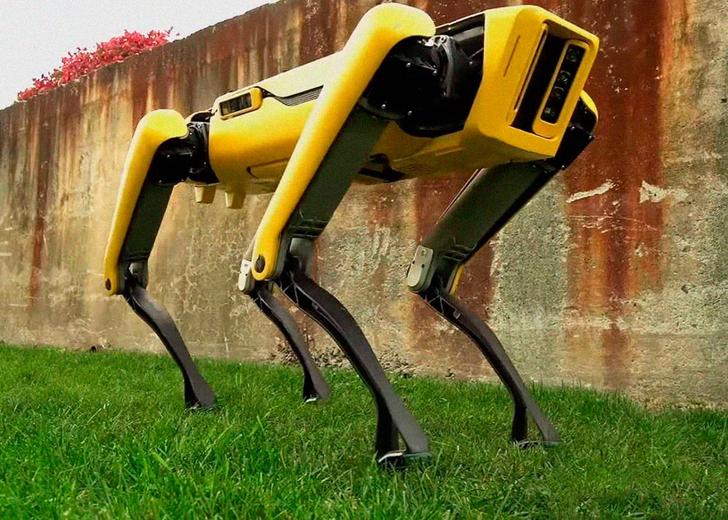 boston_dynamics_sale_dtf_header Роботы SpotMini поступят в продажу в 2019 году