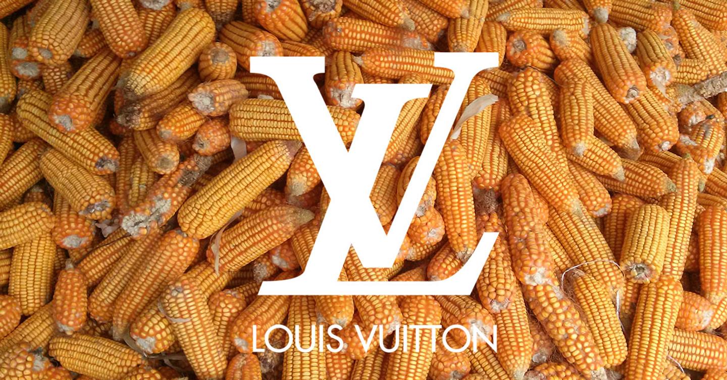 Украинские пенсионеры хранили корм для кур в сундуке Louis Vuitton