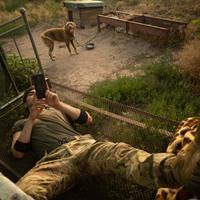 Фото Олексія Чарєя