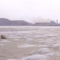 Watch a film by Mariupol artist Zoya Laktionova, dedicated to her hometown.