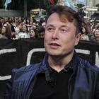 Илон Маск назвал режим самоизоляции «фашизмом»