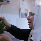 Смотрите первый трейлер фильма о монахинях, выращивающих марихуану