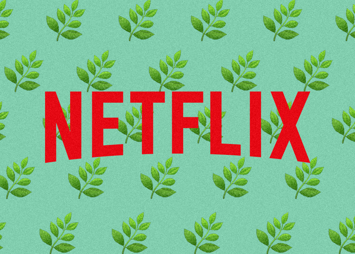 netflix_cannabis_weed_hollywod_header Netflix выпустил марихуану, вдохновленную сериалами