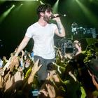 Foals