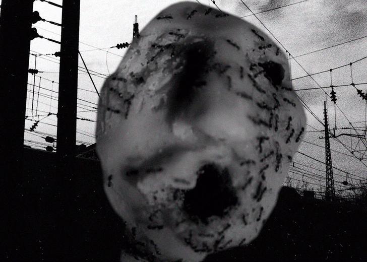 david-lynch-new-movie-ant-head-dtf-magazine-cover-2 Смотрите новый фильм Дэвида Линча «Муравьиная голова»