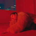 Зои Кравиц снялась в рекламной кампании Saint Laurent