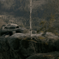 Кадр з фільму The Wanderer Яреми Малащука та Романа Хімея