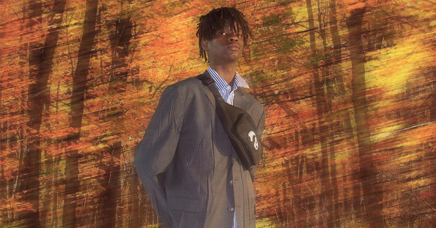 Balenciaga посвятил коллекцию вымирающим видам животных