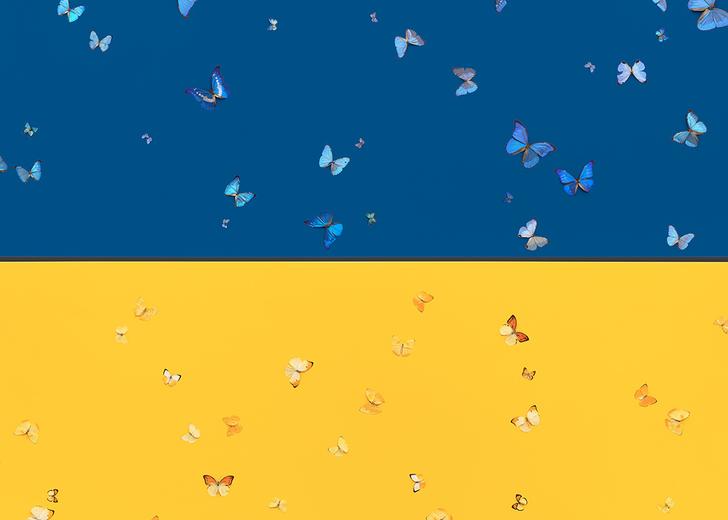 Damien Hirst dedicated new work to Ukraine