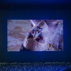 Аллах, 800 кроватей, 1,5 тонны ракушек: Future Generation Art Prize в цифрах