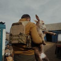 Війна в Україні очима тих, хто рятує тварин під обстрілами: говоримо з командою документального фільму RESCUE