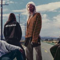 Pull&Bear Dickies