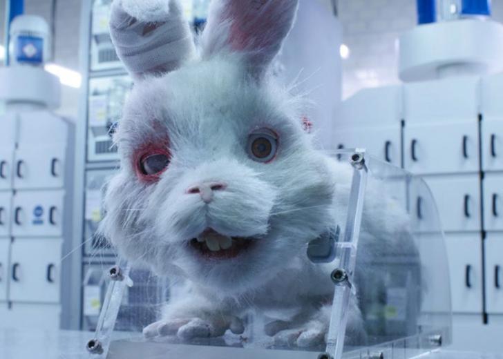 animaltesting_dtf2 У Великій Британії знову дозволили тестувати косметику на тваринах