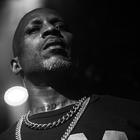 Вышел посмертный альбом DMX
