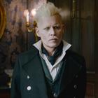 Warner Bros уволила Джонни Деппа из «Фантастических тварей»