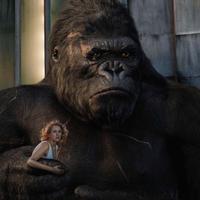 kong: ostrov cherepa, kak menjalsja obraz king-konga v kino, DTF Magazine