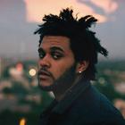 The Weeknd перевыпустит дебютный микстейп House of Balloons