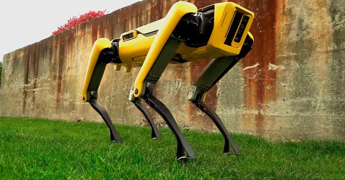 Роботы SpotMini поступят в продажу в 2019 году