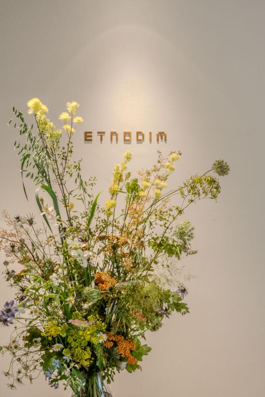 etnodim-rennovation-dtf-magazine4