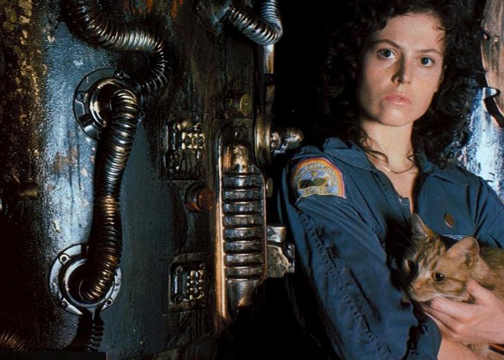 alien dtf magazine Ридли Скотт: «Сериал “Чужой” не будет так же хорош, как мой фильм»