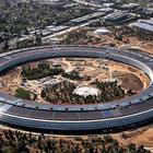 Сотрудники Apple врезаются в стены нового кампуса