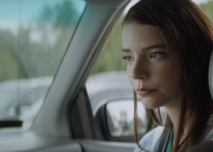 Смотрите первый трейлер фильма «Чистокровный»