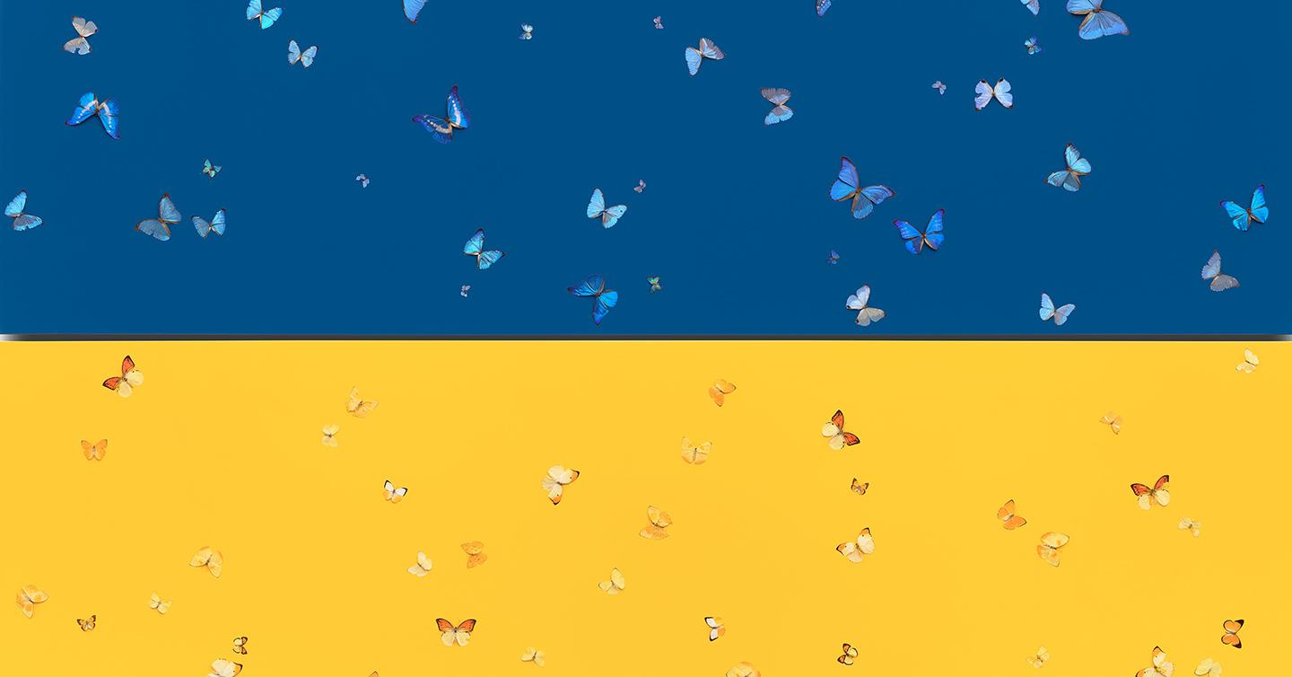 Damien Hirst dedicated new work to Ukraine