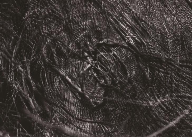 Обкладинка альбому The Moon and the Melodies гурту Cocteau Twins