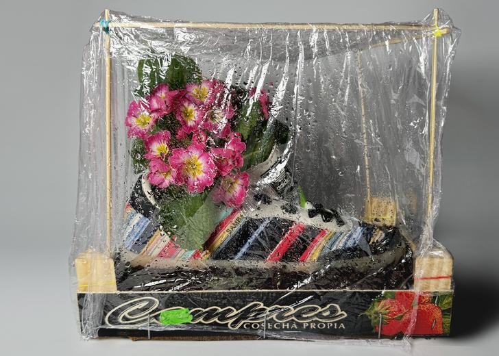ks-floweirdy-dtf-magazine Ukrainian creator Floweirdy has made an international campaign KSENIASCHNAIDER x adidas Originals
