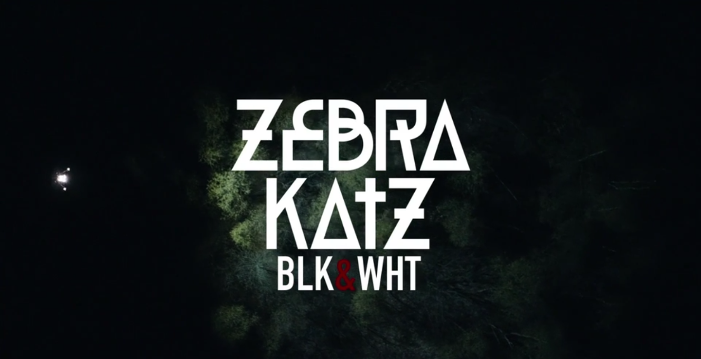 Смотрите новый клип Zebra Katz