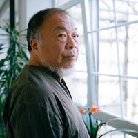 Ai Weiwei: 'I'm afraid of becoming older, losing consciousness and no longer being able to feel the pain of other people'