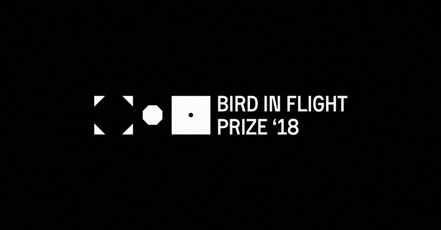 ptaha-premia-1 Bird in Flight запускает фотоконкурс с премией в две тысячи евро
