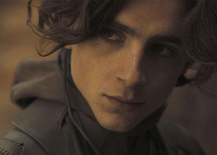 Timothee-Chalamet-dtf-magazine Тімоті Шаламе купив книгу «Дюна», коли режисером фільму став Дені Вільнев