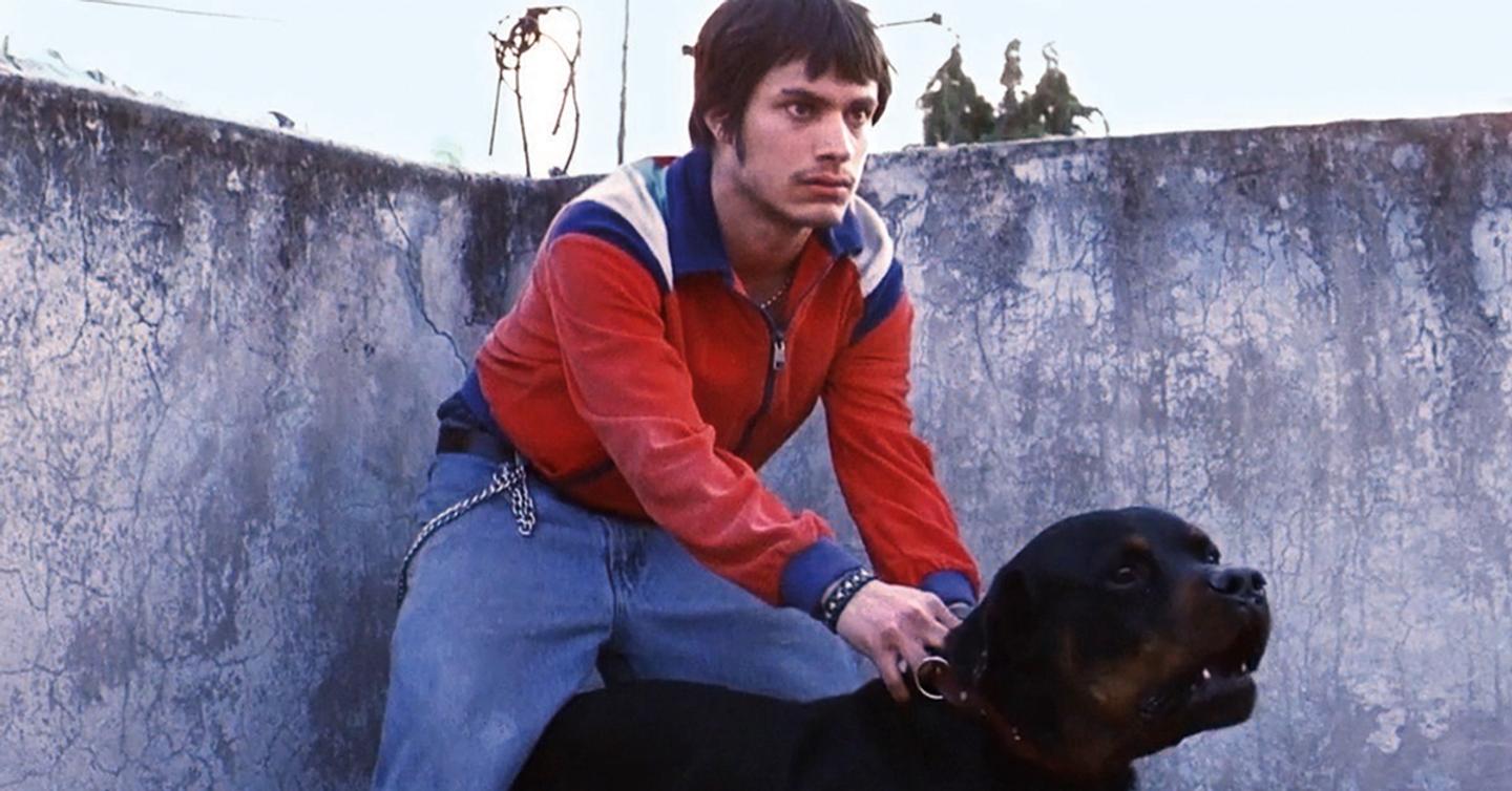 Amores-Perros-dtf-magazine (1) Алехандро Гонсалес Иньярриту выпустит обновленную версию фильма «Сука-любовь»