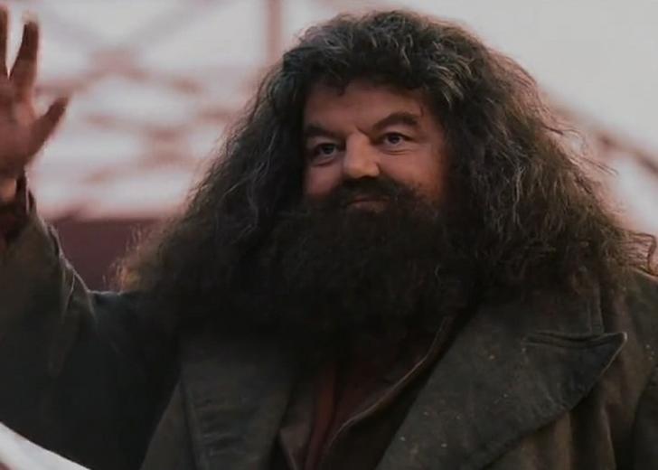hagrid-dtf-magazine Помер актор Роббі Колтрейн — виконавець ролі Геґріда у «Гаррі Поттері»