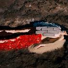 Открылась виртуальная фотовыставка украинского дуэта Synchrodogs