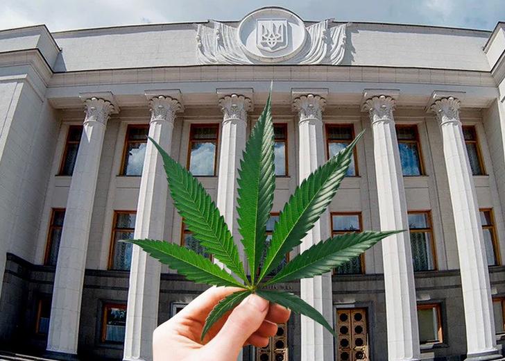 canabis-dtf-magazine В Верховной раде зарегистрировали законопроект о легализации марихуаны