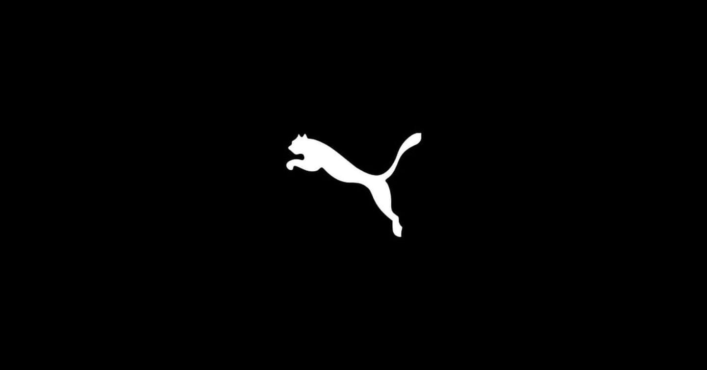 Товарні склади PUMA та INTERTOP під Києвом знищені внаслідок російського обстрілу