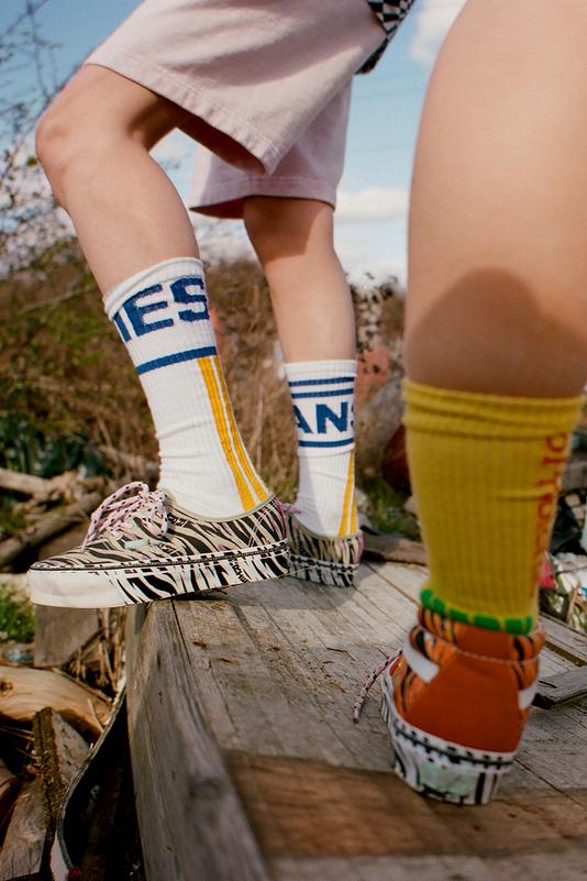 Aries-vans-dtf-magazine7