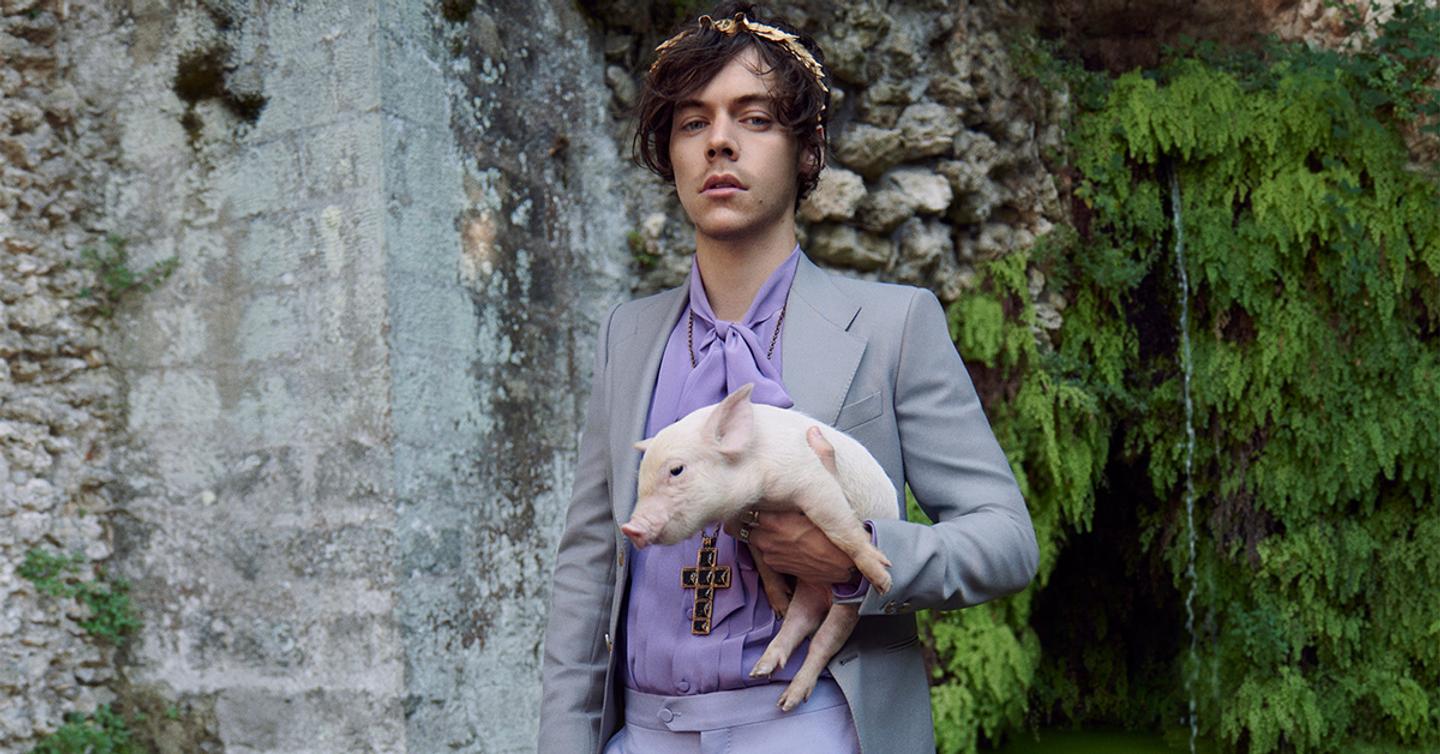 Gucci снял Гарри Стайлса и поросят в новом кампейне