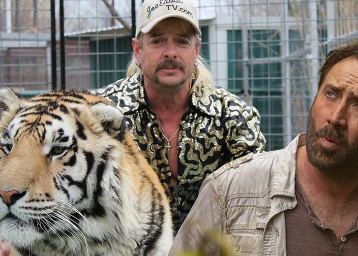 Николас Кейдж исполнит главную роль в сериале о Джо Экзотике