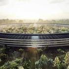 Первый взгляд: как выглядит Apple Park внутри