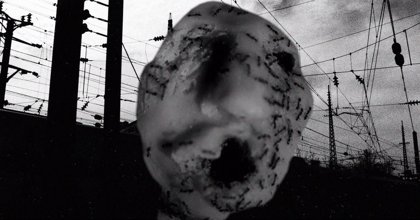 david-lynch-new-movie-ant-head-dtf-magazine-cover-2 Смотрите новый фильм Дэвида Линча «Муравьиная голова»