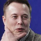 Илон Маск анонсировал запуск компании по производству сладостей