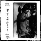 Sonic Youth перевыпустили альбом 1991 года