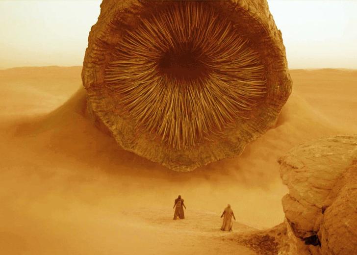 dune-worm-sound-dtf-magazine Звукорежиссер «Дюны» «проглотил микрофон», создавая звук песчаного червя