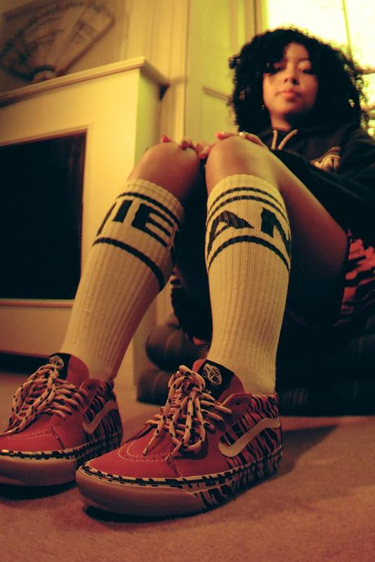 Aries-vans-dtf-magazine9