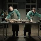 Стрімінг MUBI придбав права на показ української стрічки «Атлантида»