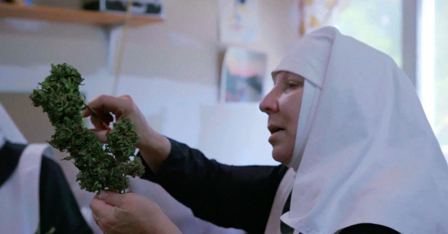 breaking_habits_first_trailer_dtf_header Смотрите первый трейлер фильма о монахинях, выращивающих марихуану